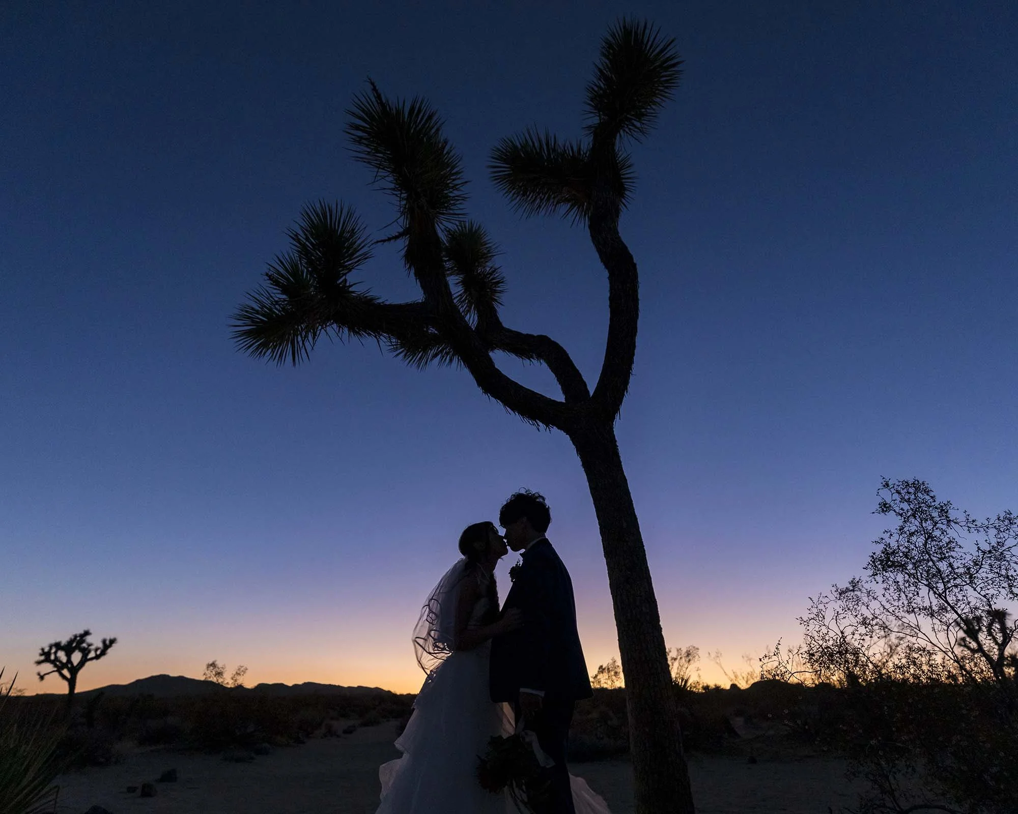 ウェディング  フォトブース  ウエスタン joshua-tree-prewedding-couple-