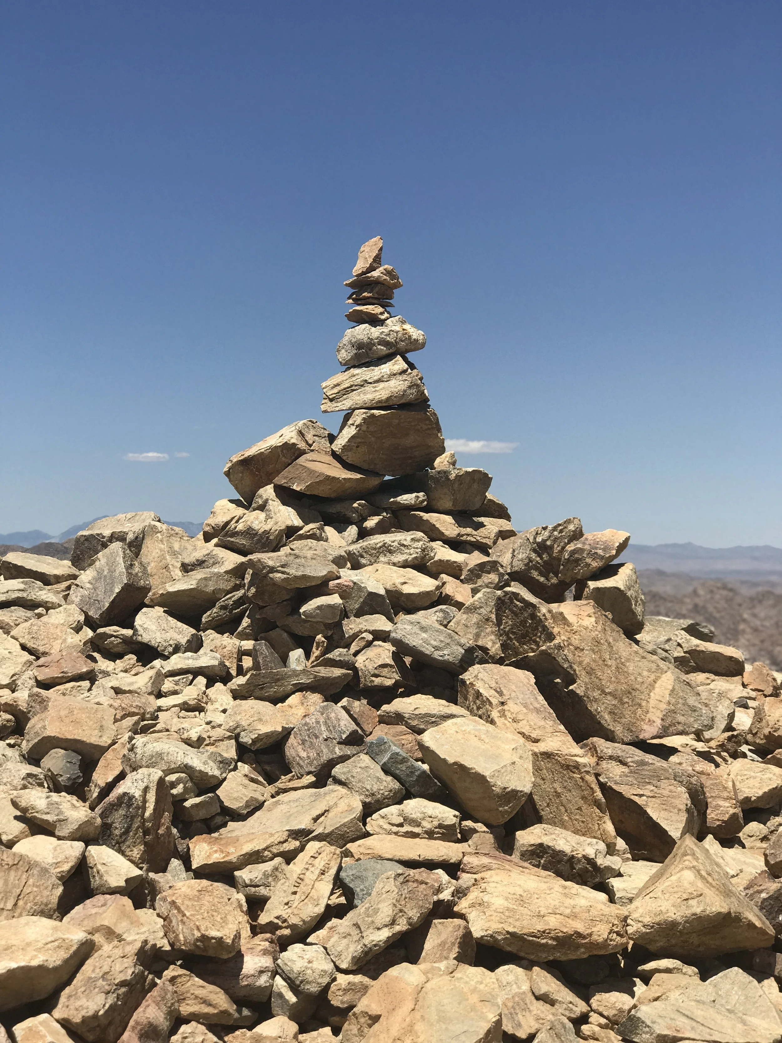 Joshua Tree with Friends 