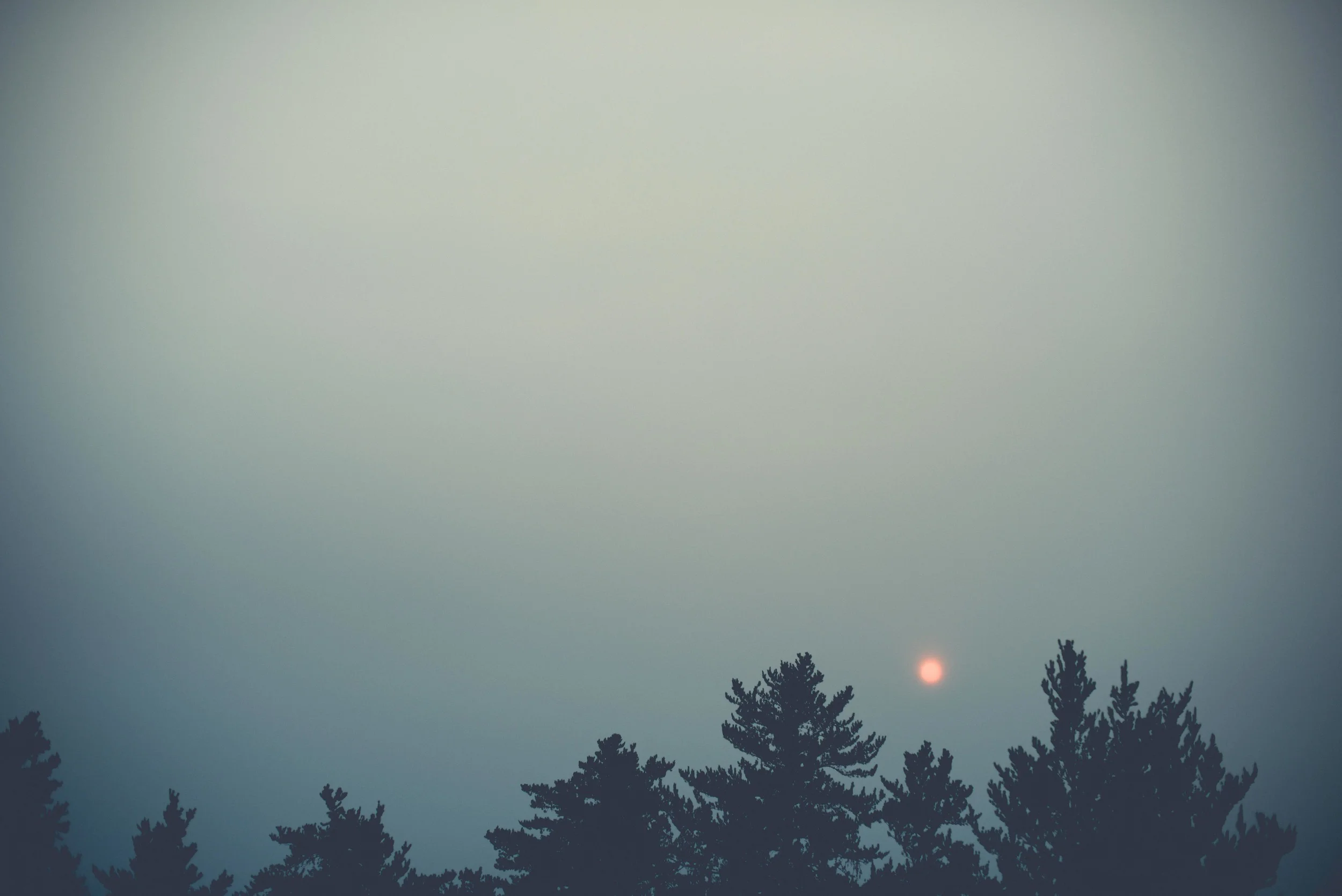 SHINE_2015-6.jpg