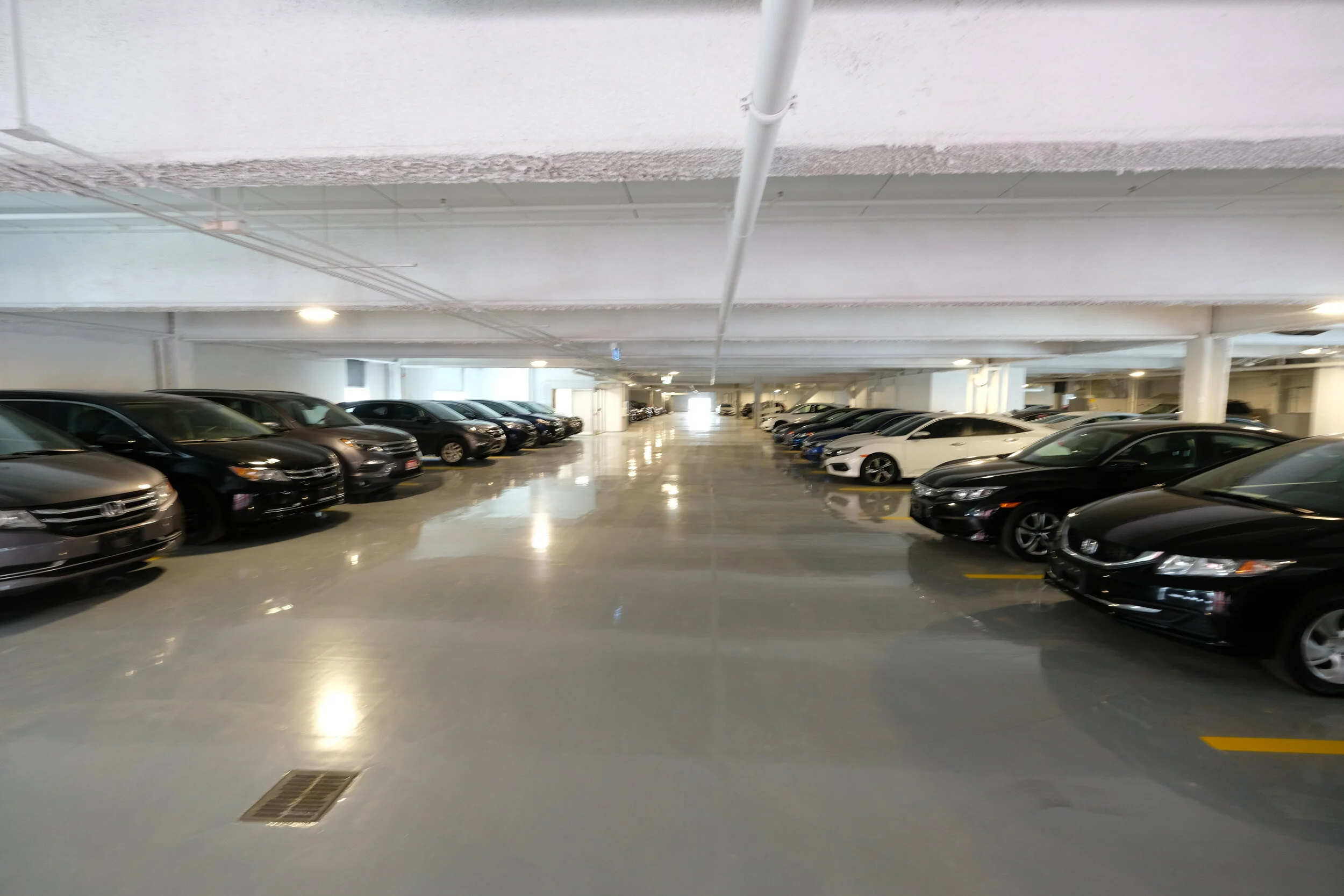 DSCF8150.JPG