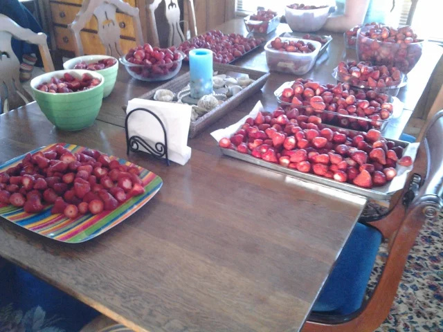 20130504_181911.jpg