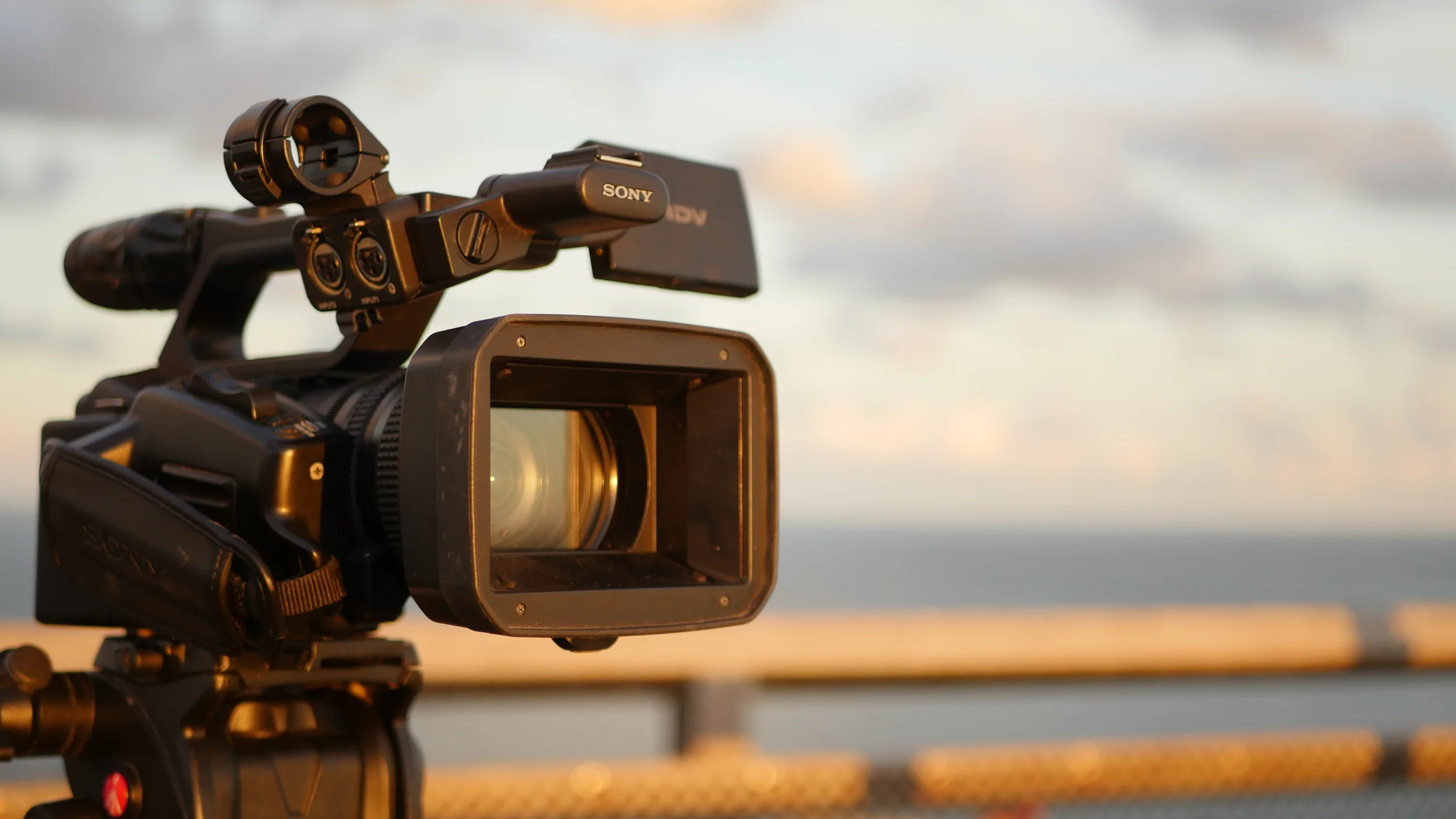 The Last Light Over the Bay