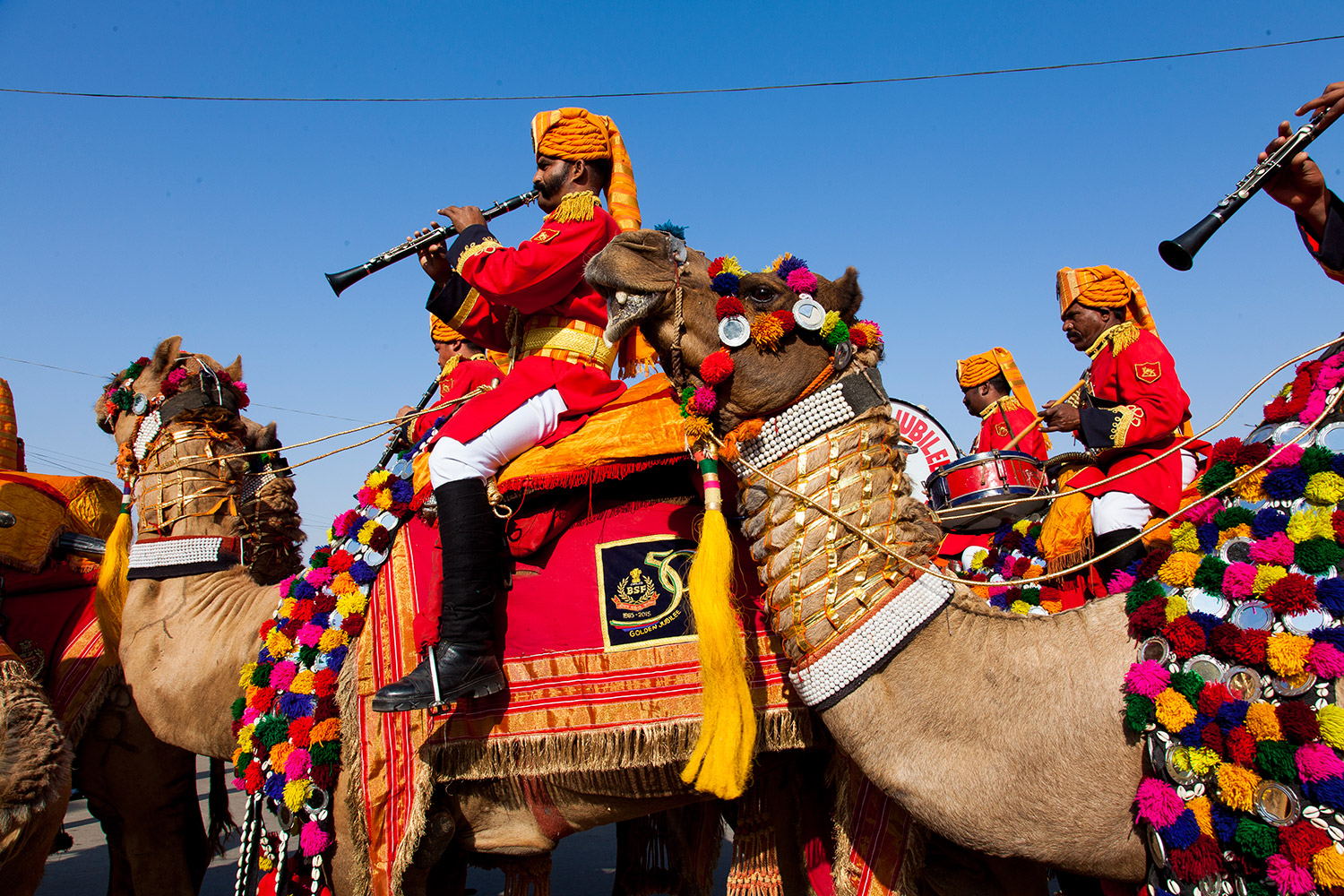 Desert Festival, India