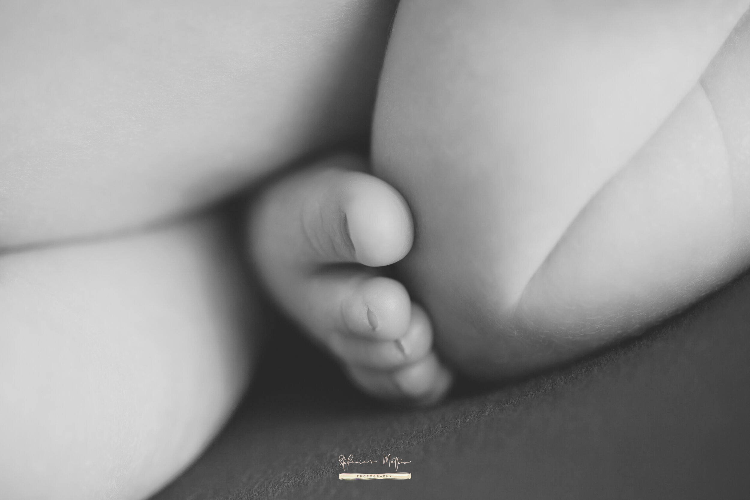 _MG_2738-Modifica+++ (1)+++.JPG