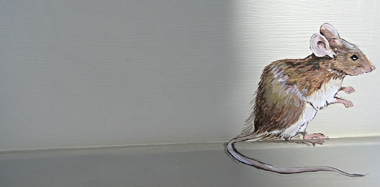 mouse on toy box.JPG