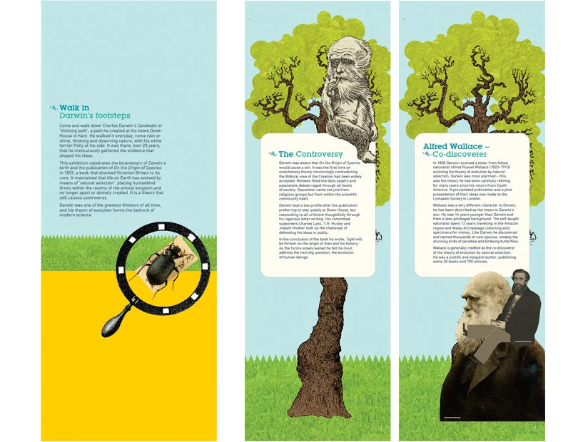 BL_Darwin_6.jpg