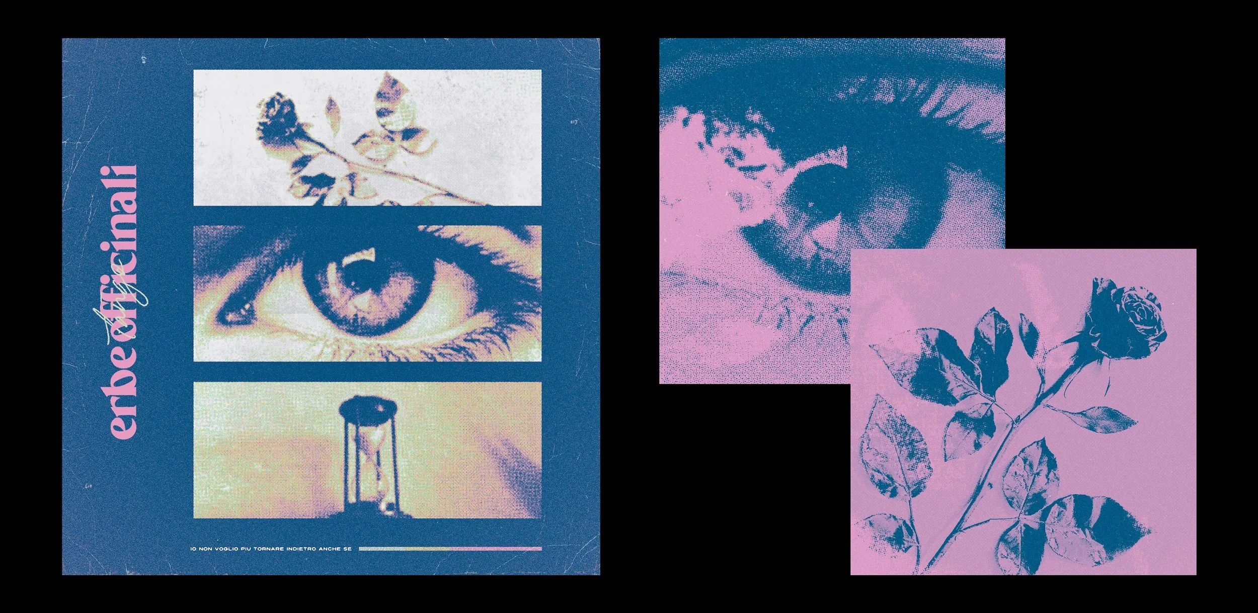 erbe-officinali.jpg