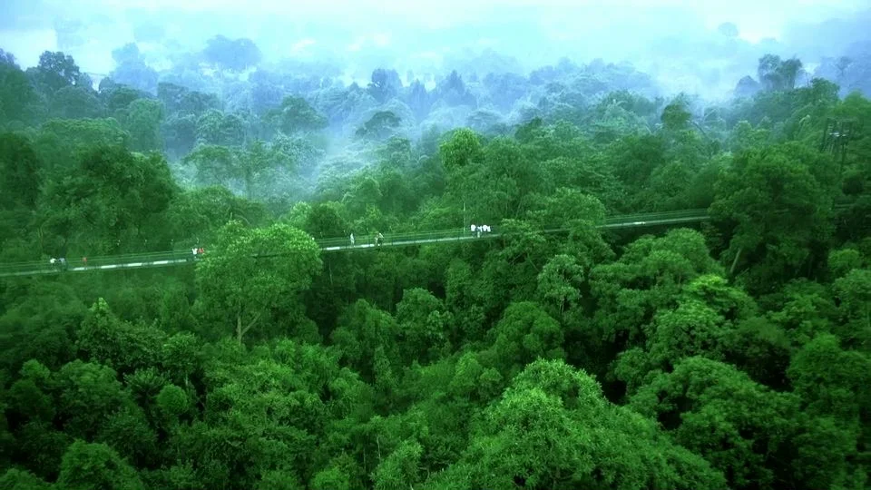 STB Shiok 191012 v1-H264.jpeg