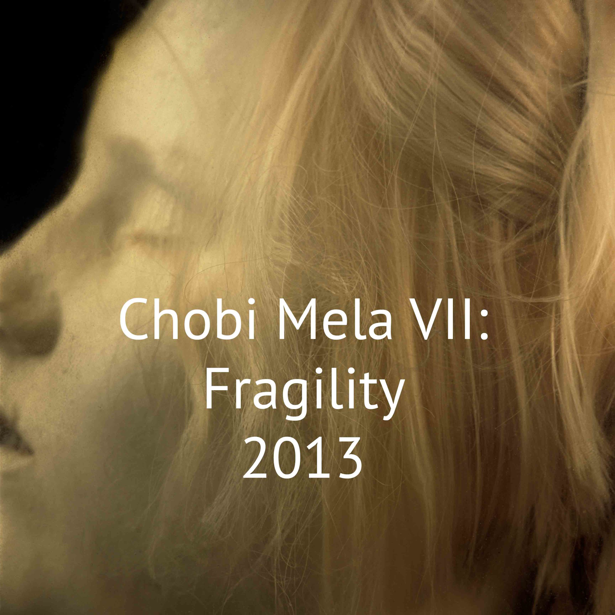 Chobi Mela VII: Fragility