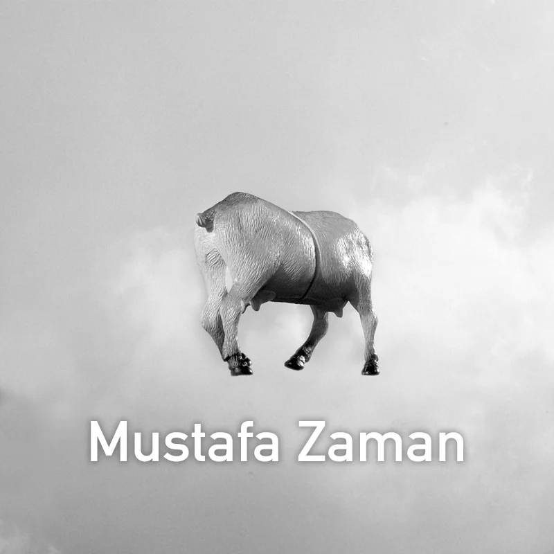Mustafa Zaman.jpg