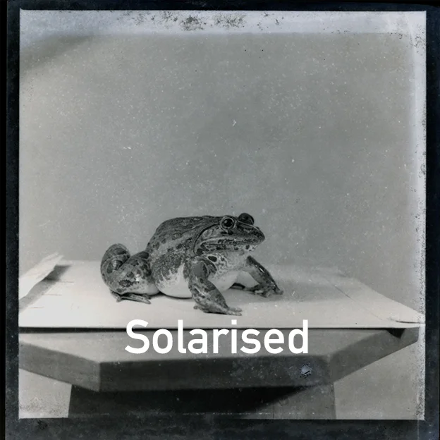 solarised.jpg