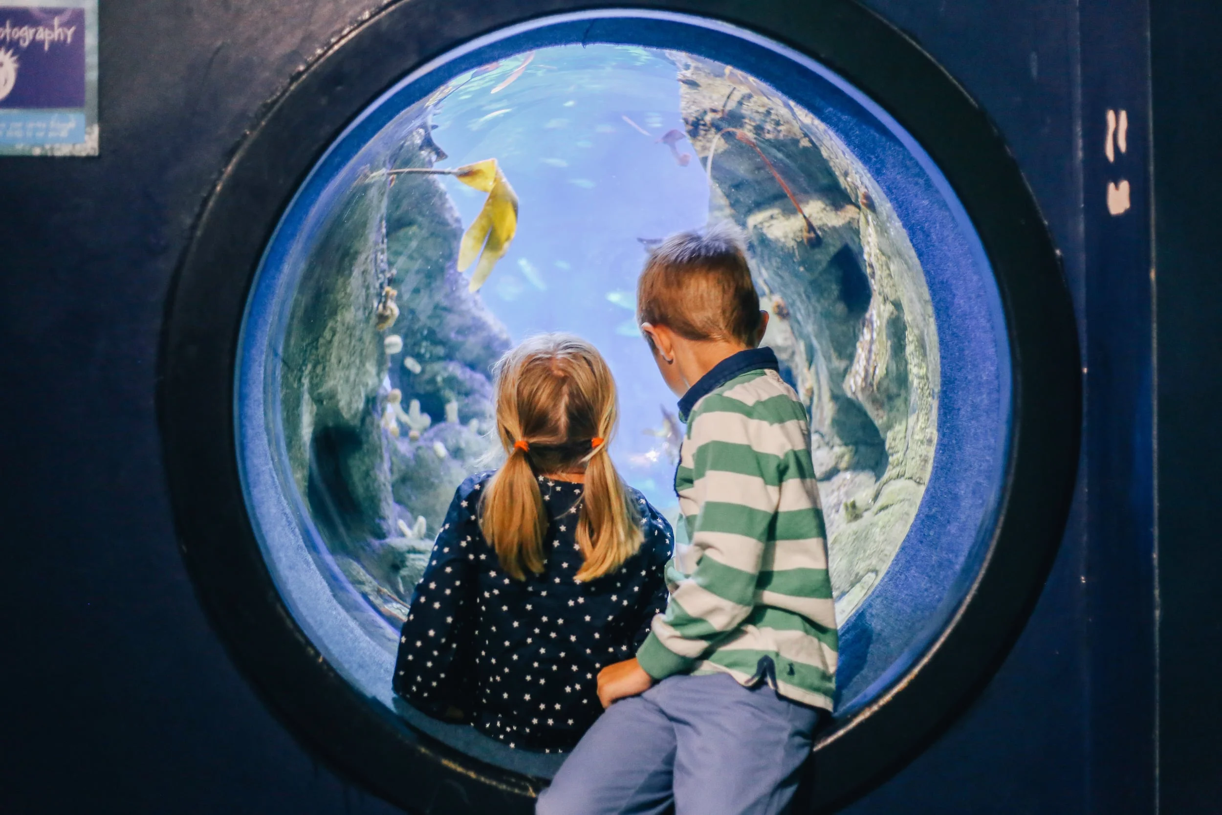 23-devon 31 Jul 2014 11-05.jpg