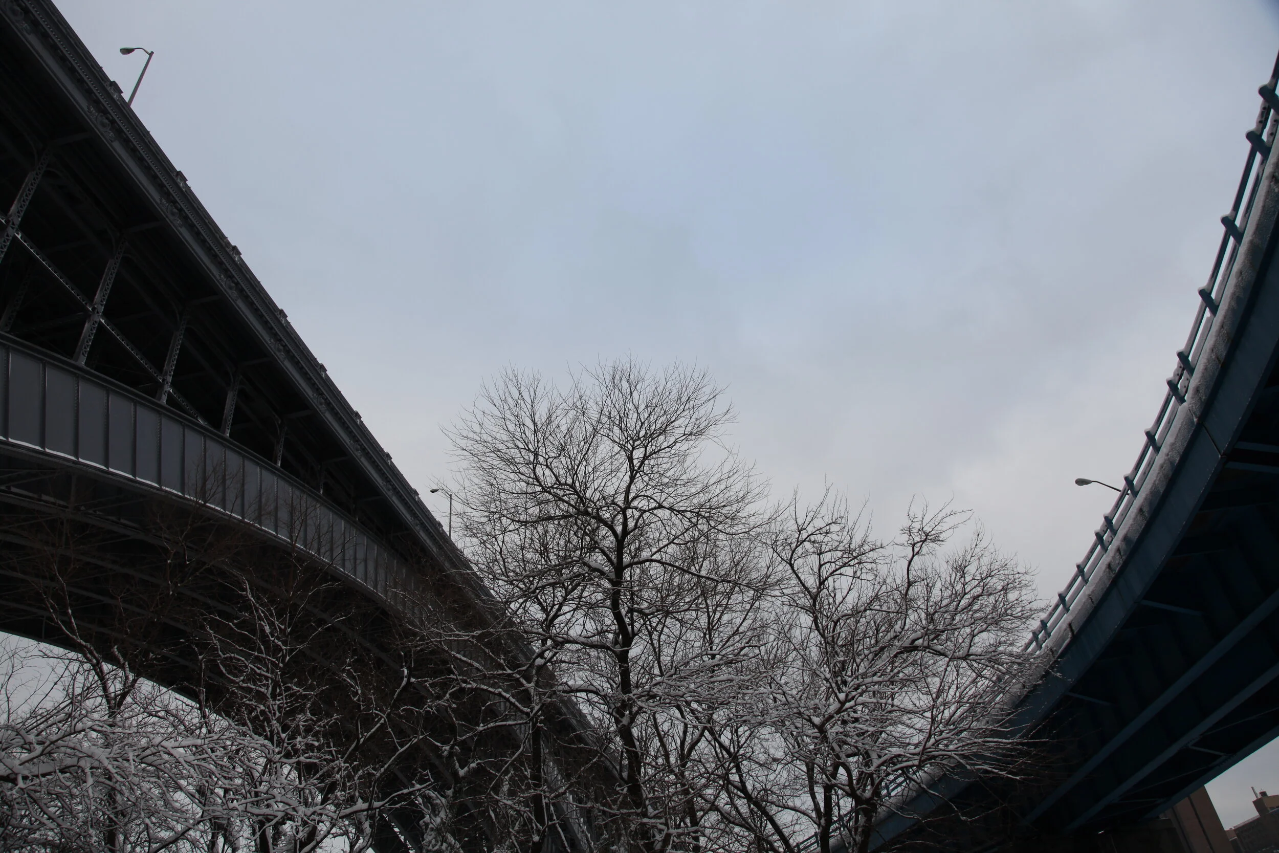 alex h bridge 041.JPG