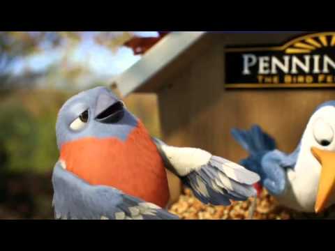 Pennington Bird Band