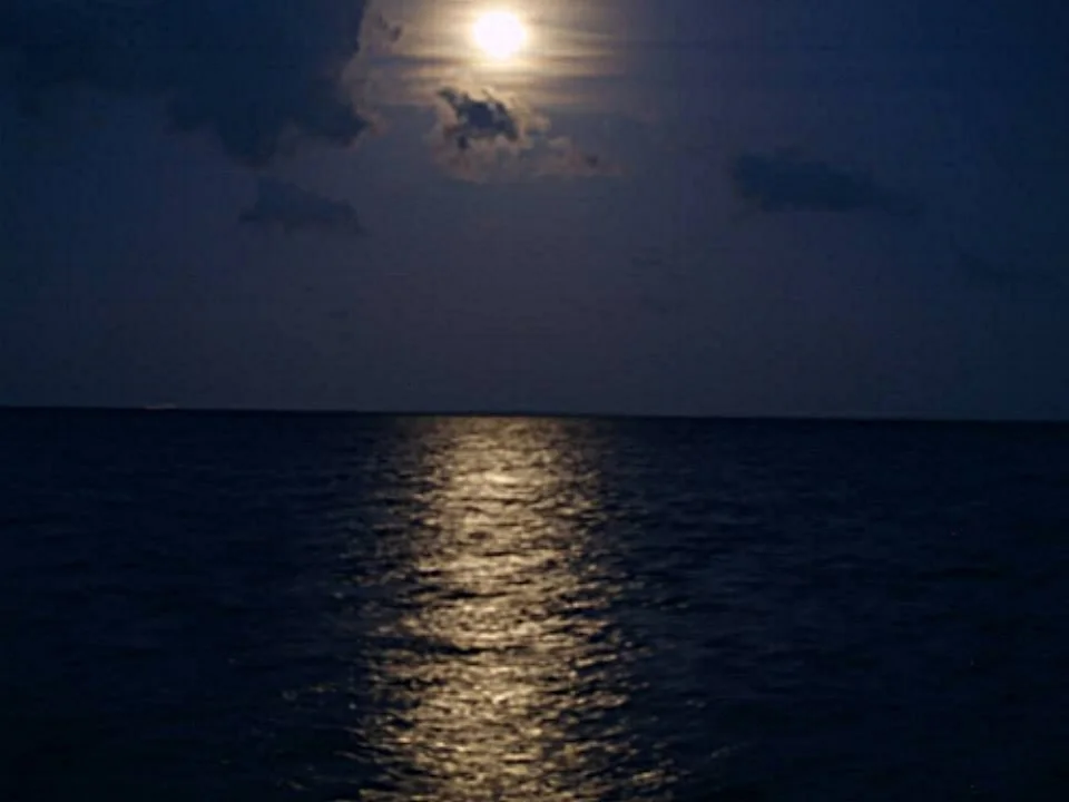 Oct. Field Trip - Full Moon Maddness at Biscayne Bay!