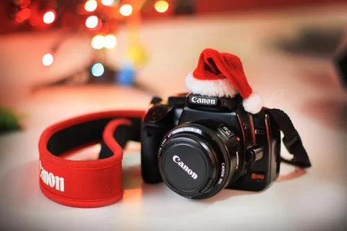 Dec. 17th (Saturday) Holiday Party at Robert's!