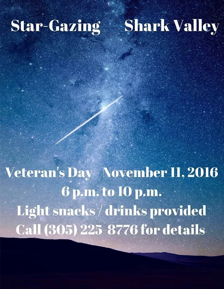 Star Gazing at Shark Valley