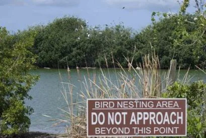 Courtesy of Everglades National Park Website