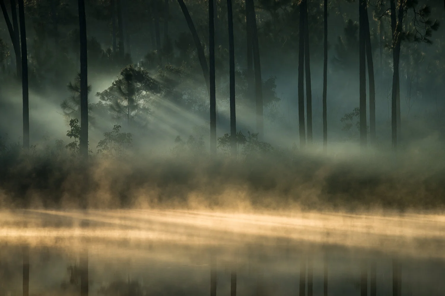 February 2017 Sunrise Facebook Contest Winner!