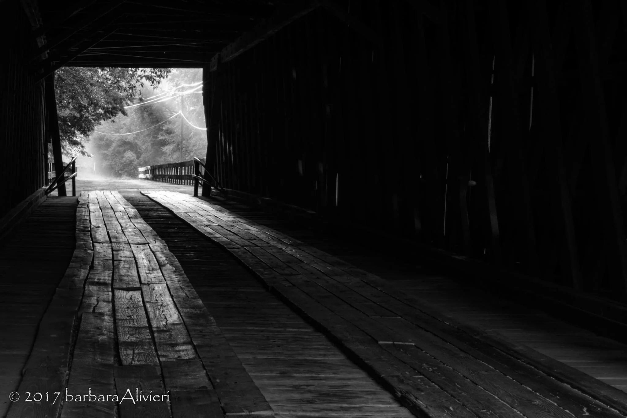 Photo Courtesy of Barbara Livieri