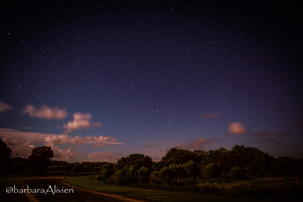 August Field Trip - Perseids Meteor Shower