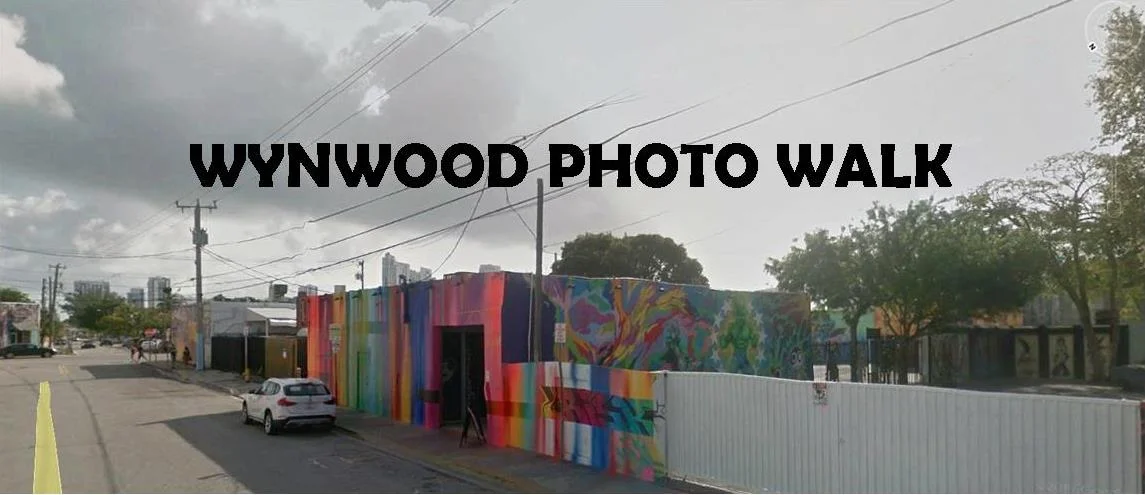 Sept. Field Trip - Wynwood Sunrise and Golden Hour