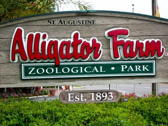 April Weekend - St. Augustine Alligator Farm & Rookery