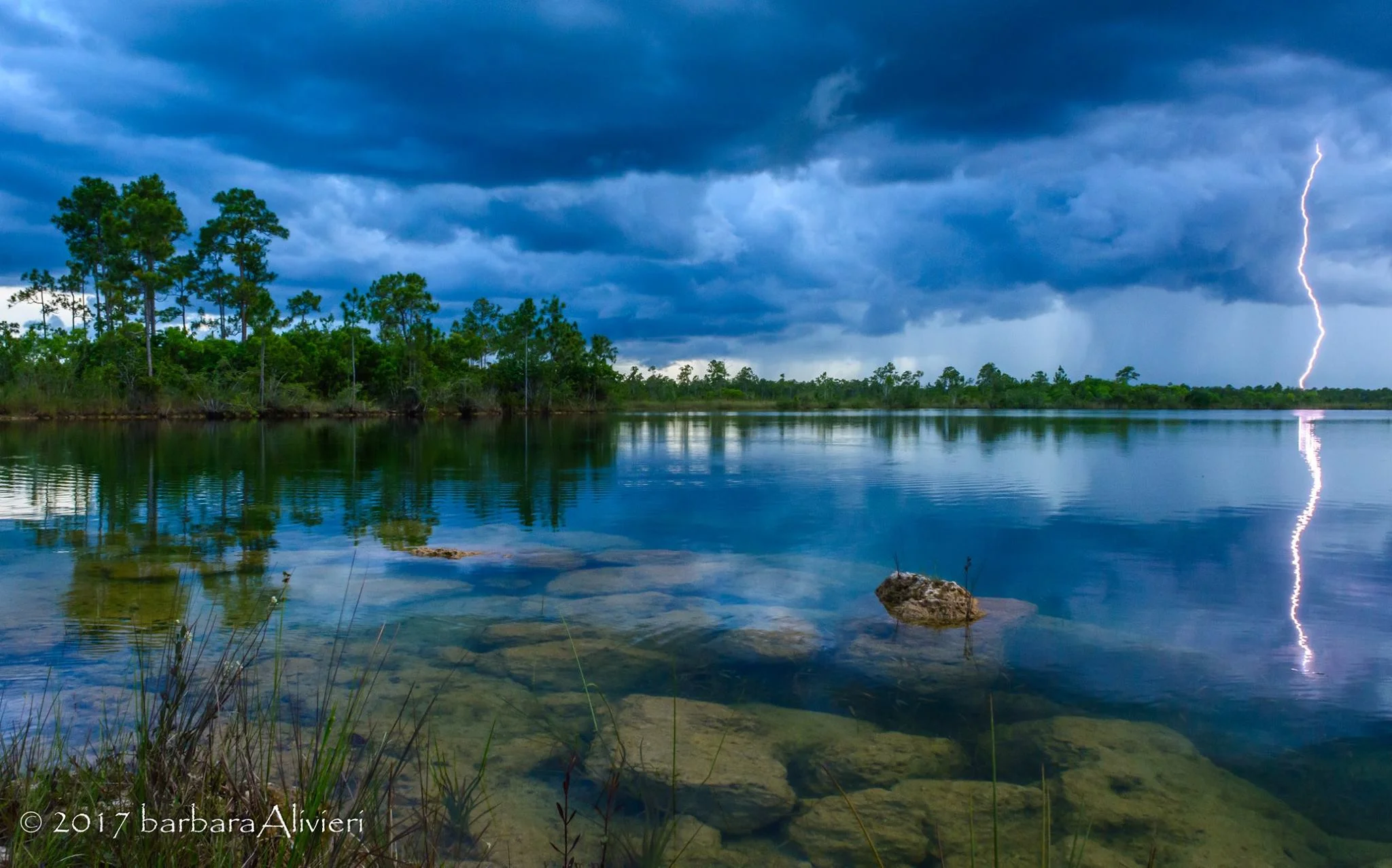 July Field Trip - Everglades Lightning!