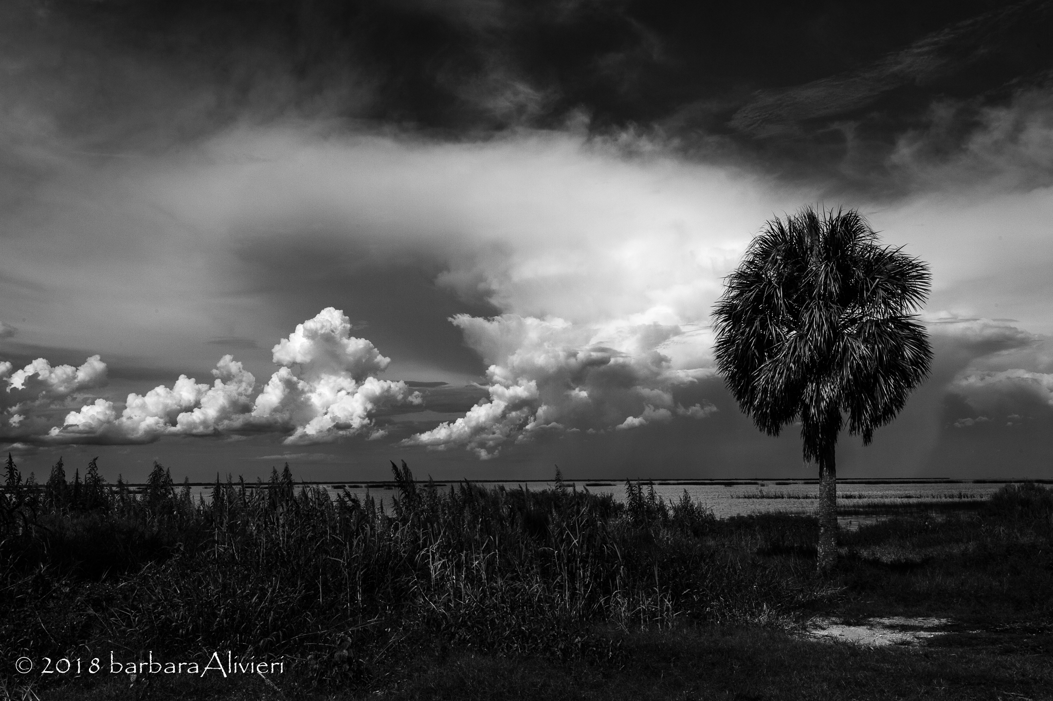 Weekend Away - Okeechobee Storm Chasing and Night Photography
