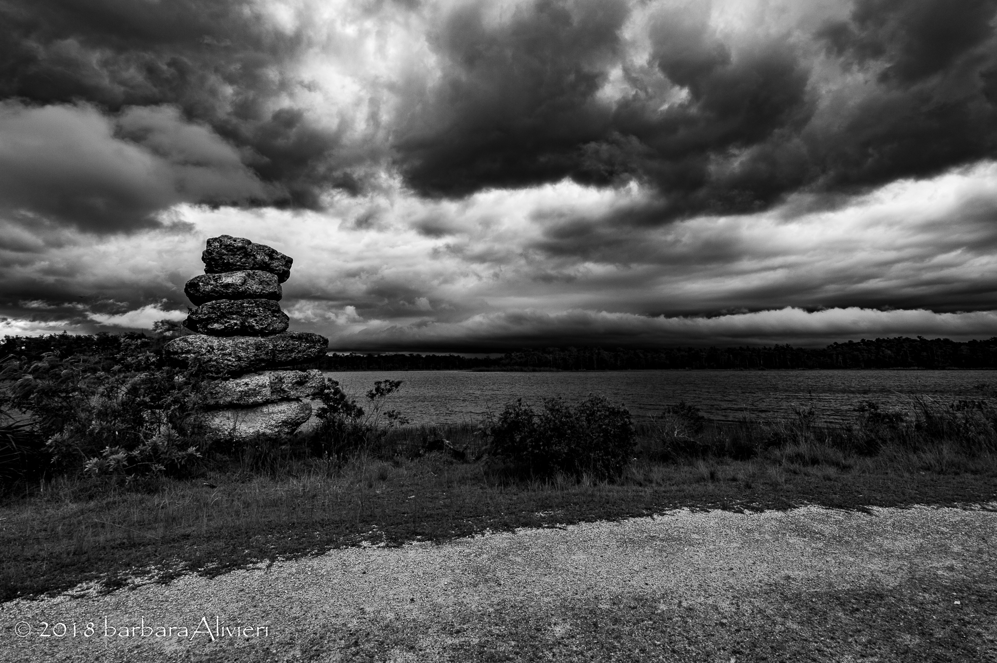 June Field Trip - Afternoon Black & White Composition