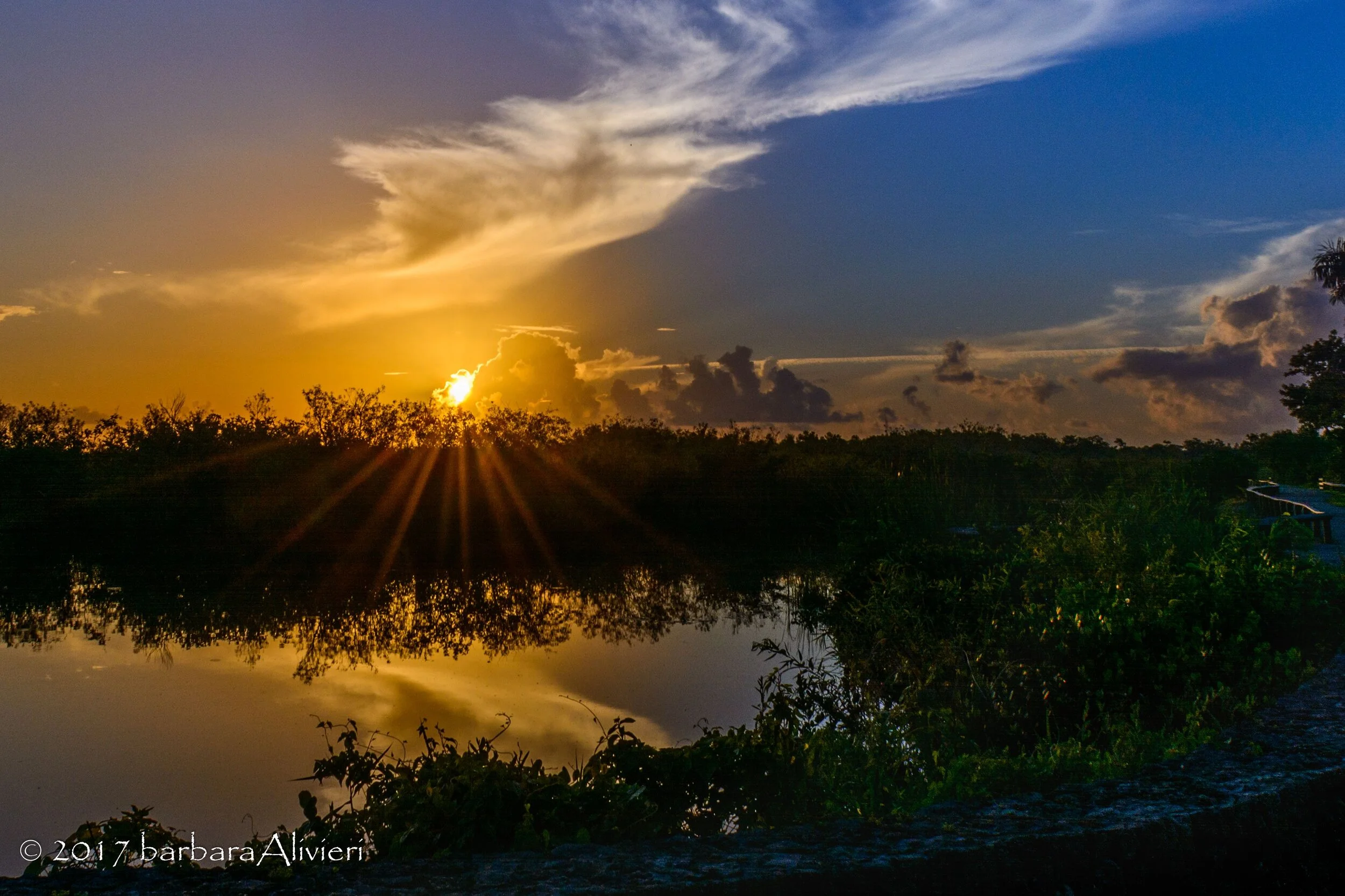 Sept. Field Trip # 1 - Sunrise at Royal Palm