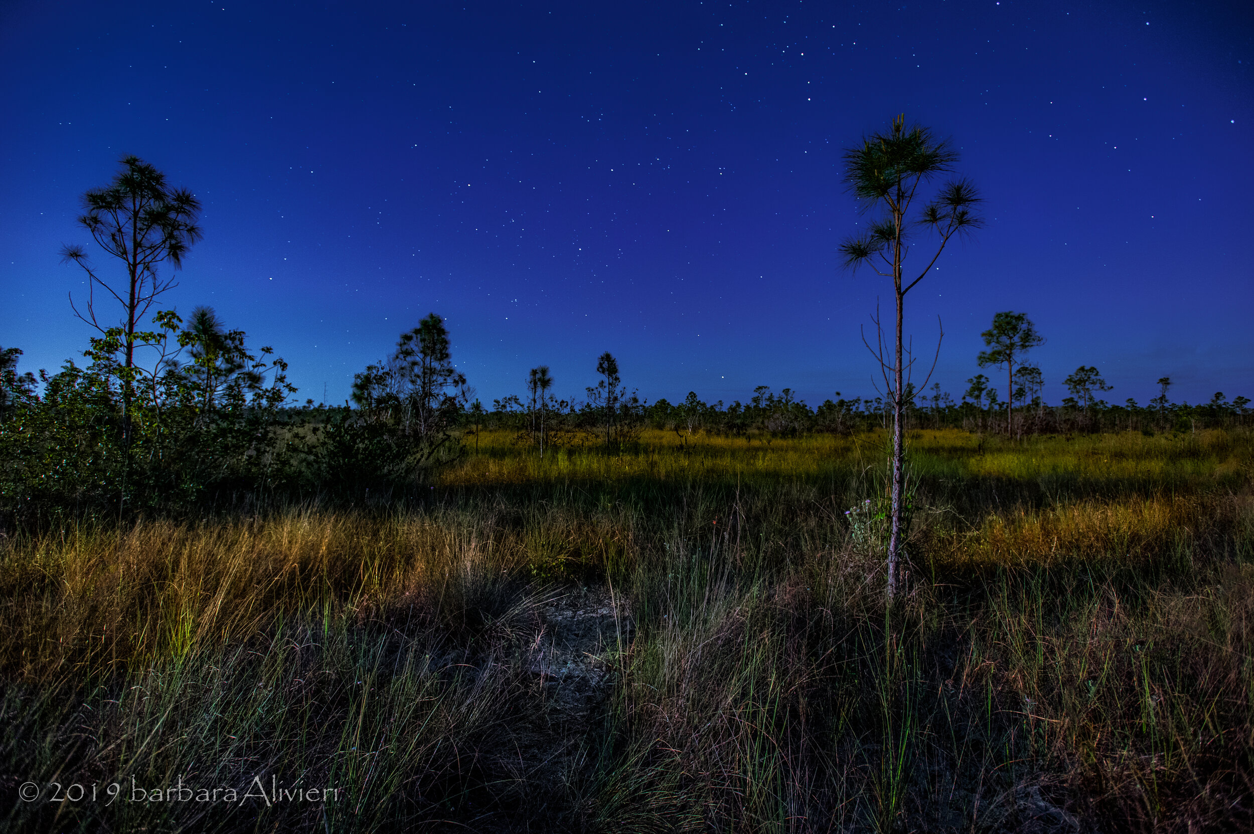 POSTPONED - SFNPCC Jul. Field Trip - Moonlit Landscapes