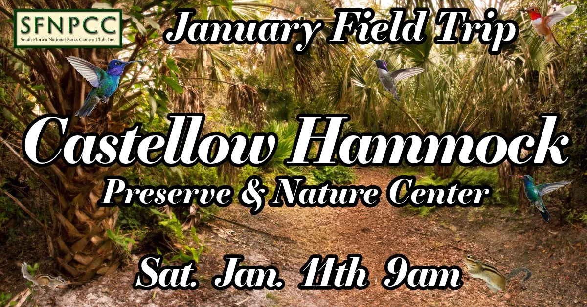 January Field Trip - Castellow Hammock Preserve &amp; Nature Center