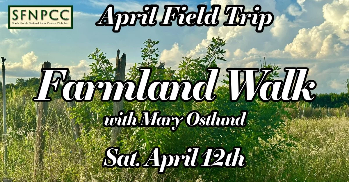 April Field Trip - Farmland Walk with Mary Ostlund