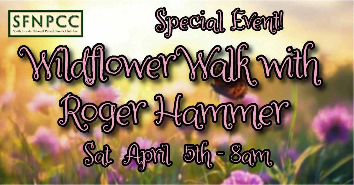 Special Event! Wildflower Walk with Roger Hammer!