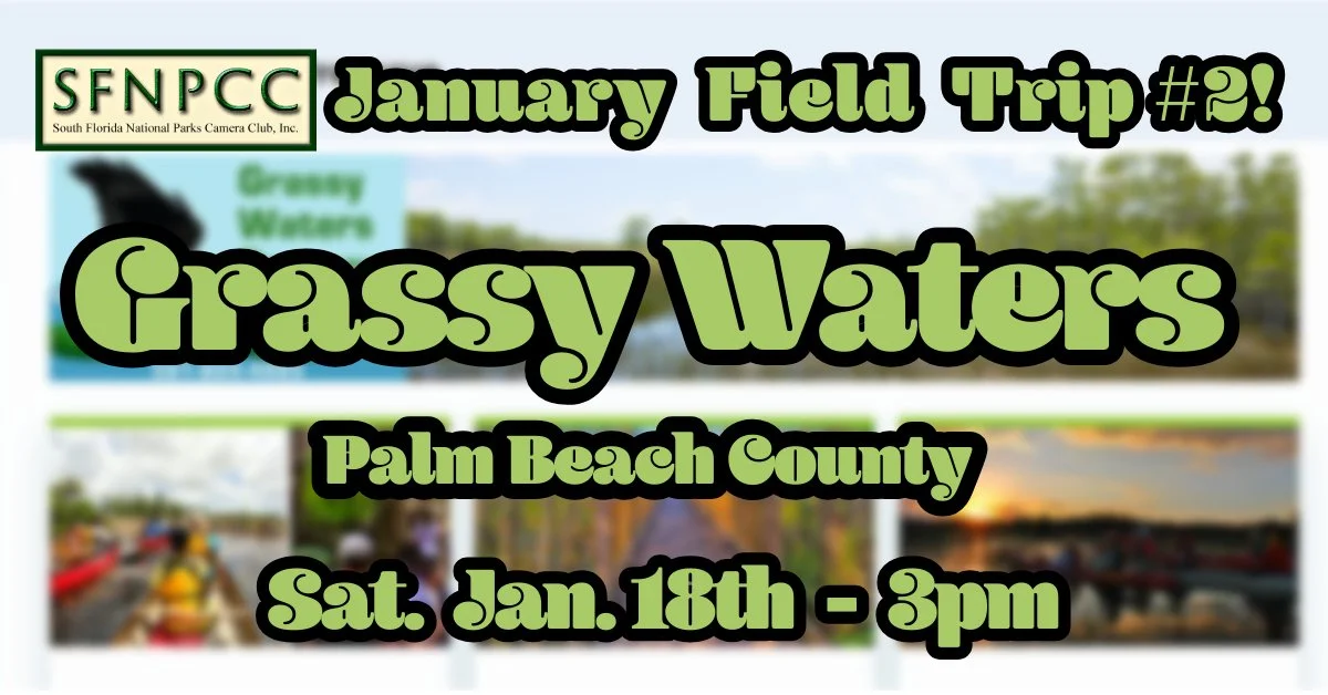 January Field Trip # 2! - Grassy Waters Preserve - West Palm Beach