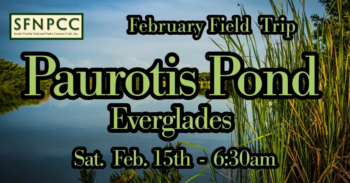 February Field Trip - Paurotis Pond