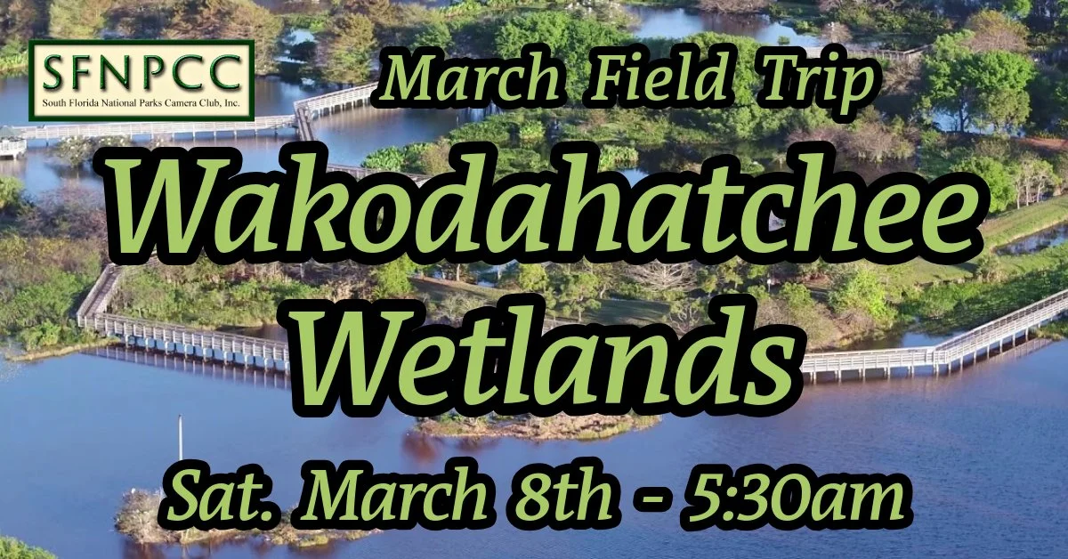 March Field Trip - Wakodahatchee Wetlands