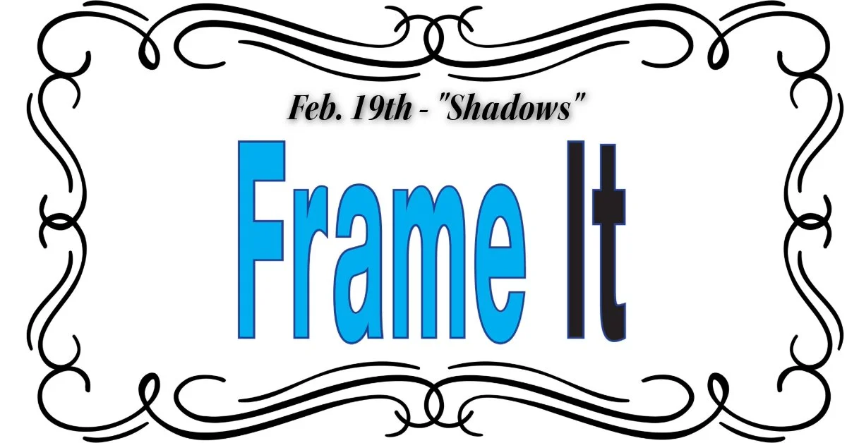 February FrameIt! VIA ZOOM - Theme "Shadows"