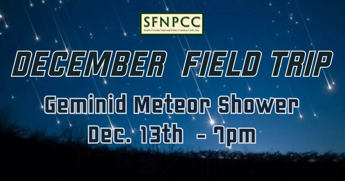 December Field Trip - Geminids Meteor Shower