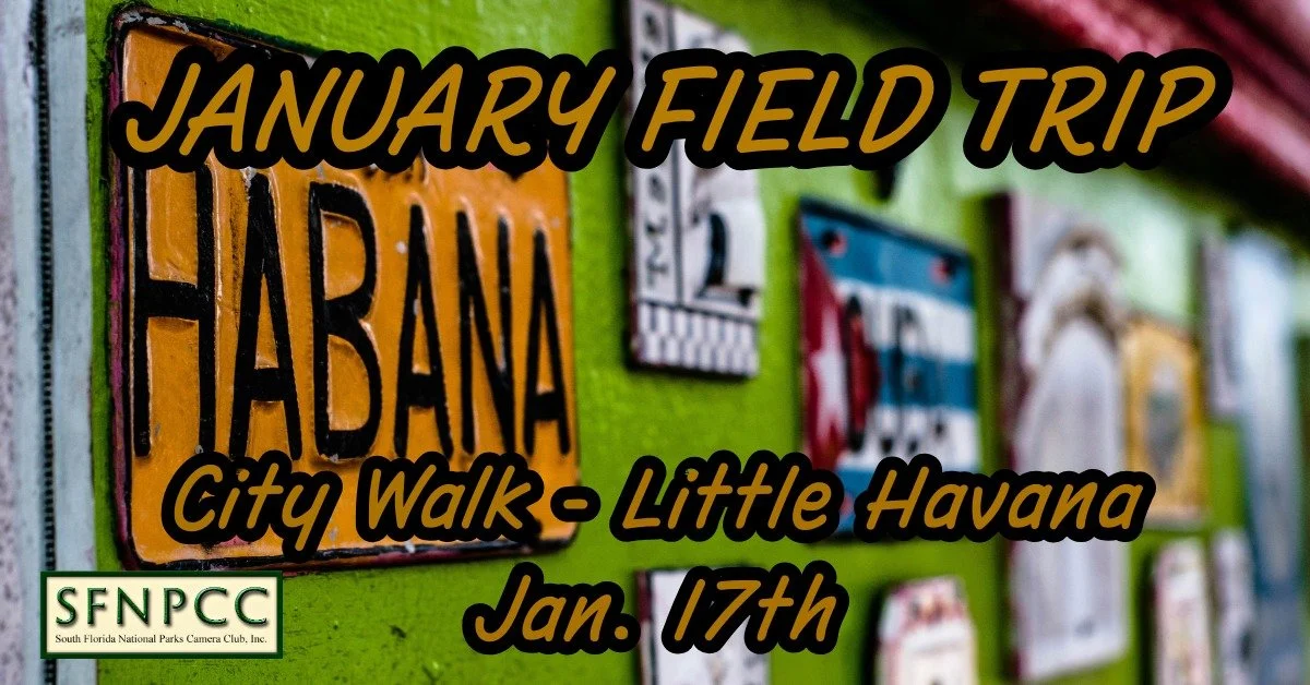 January Field Trip - City Walk "Little Havana"