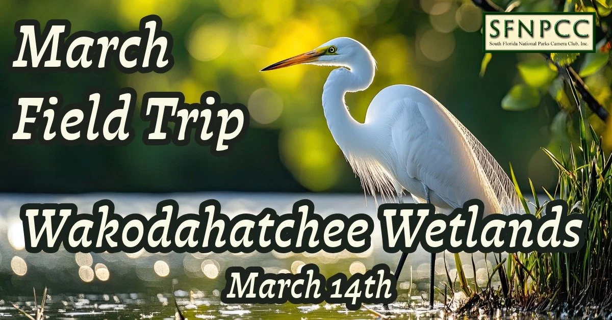 March Field Trip - Birding in Wakodahatchee!