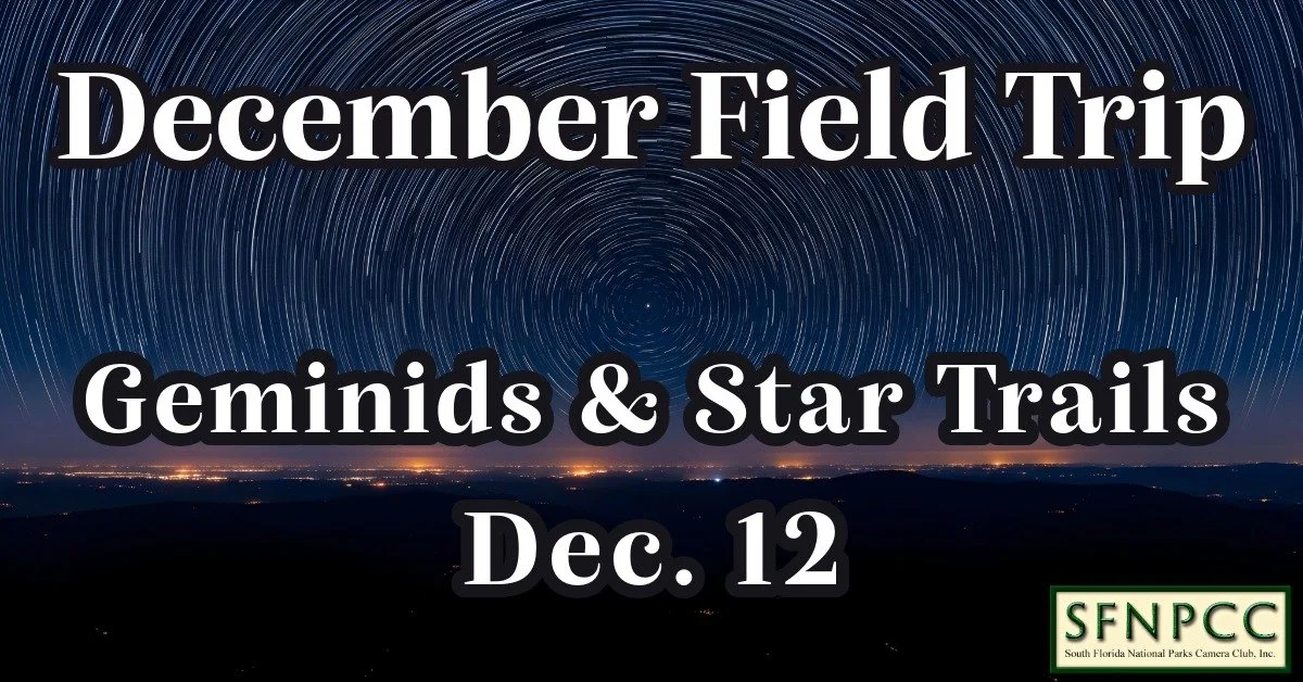 December Field Trip - Geminids Meteor Shower