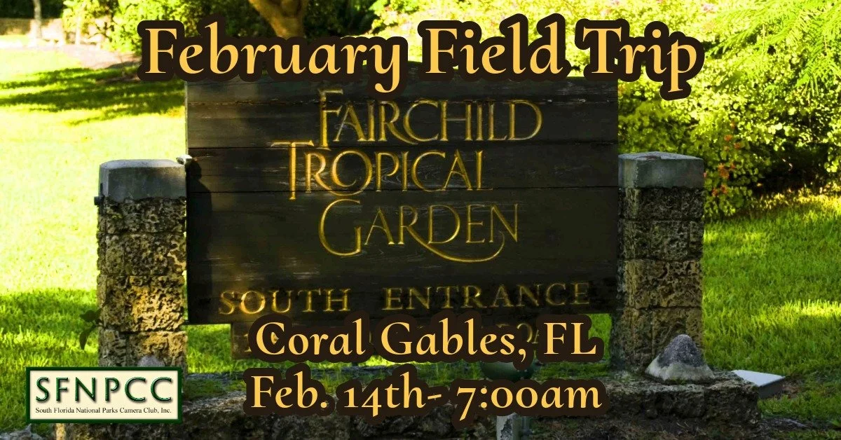 February Field Trip - Fairchild Gardens Early Morning Guided Bird Walk