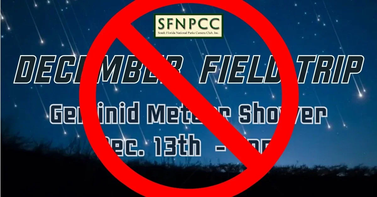 December Field Trip - Geminids Meteor Shower