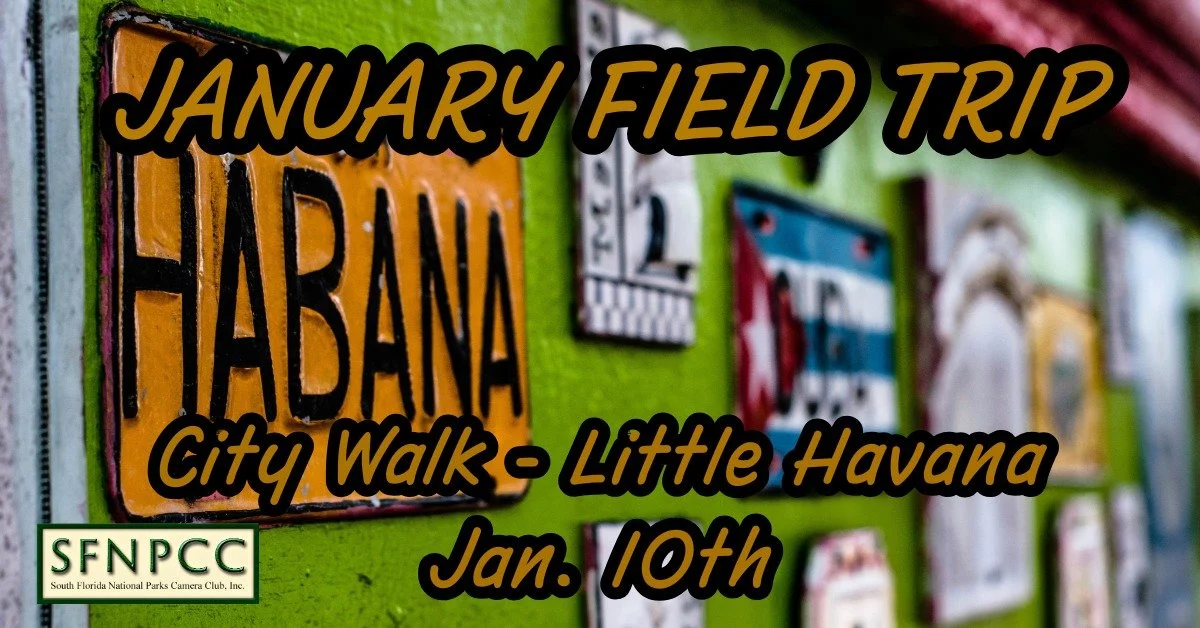 January Field Trip - City Walk "Little Havana"