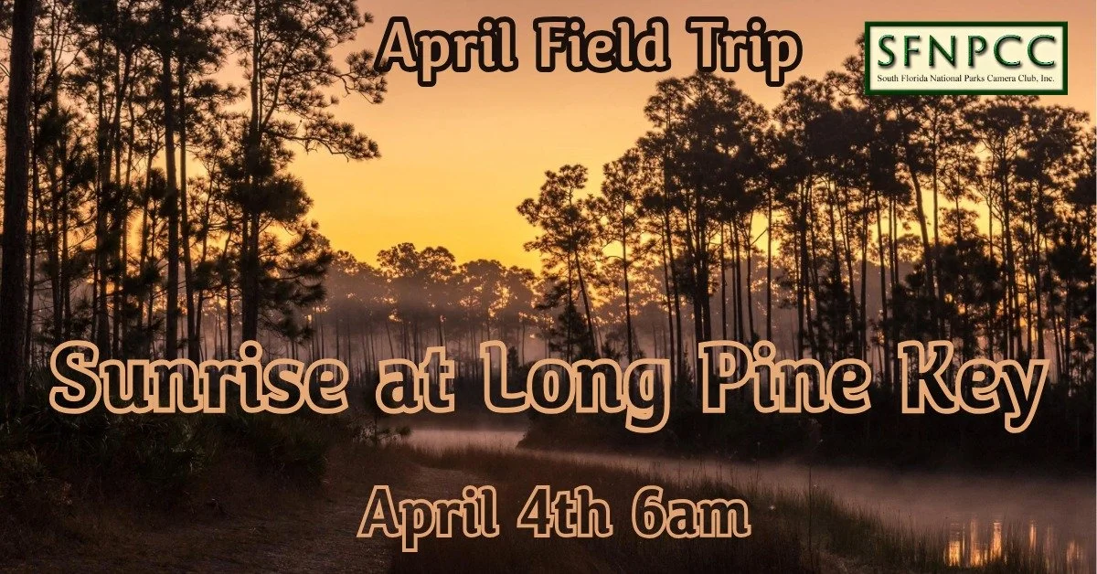 April Field Trip - Sunrise at Long Pine Key