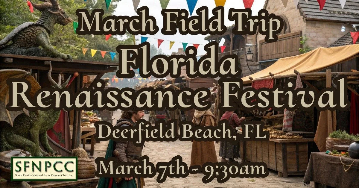March Field Trip - Florida Renaissance Festival