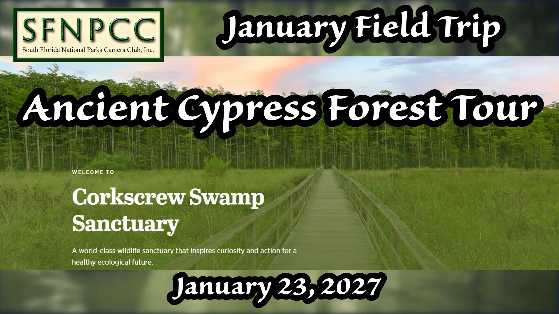 January Field Trip - Corkscrew Swamp