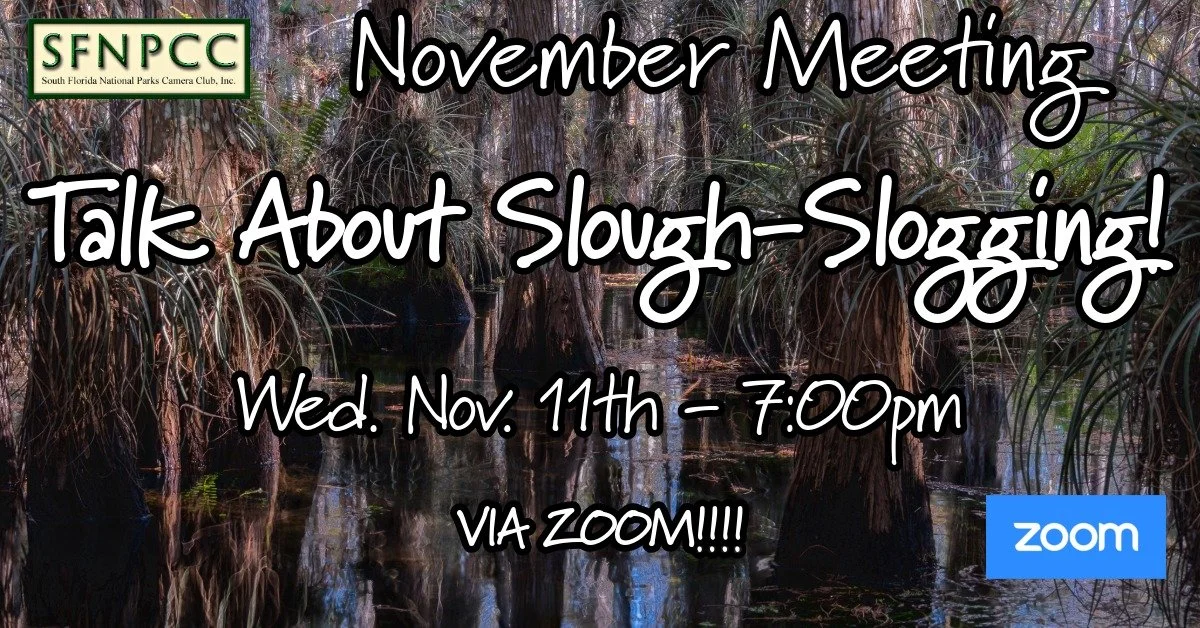 November Meeting - VIA ZOOM - "Talk about Slough-Slogging" a discussion